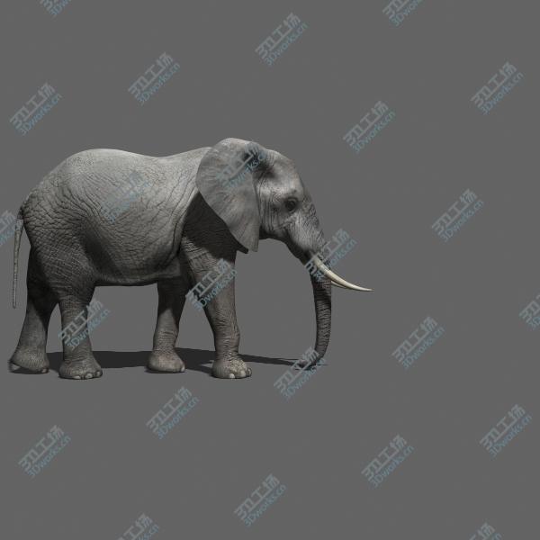 images/goods_img/20210319/PRO Elephant ANIMATED/3.jpg